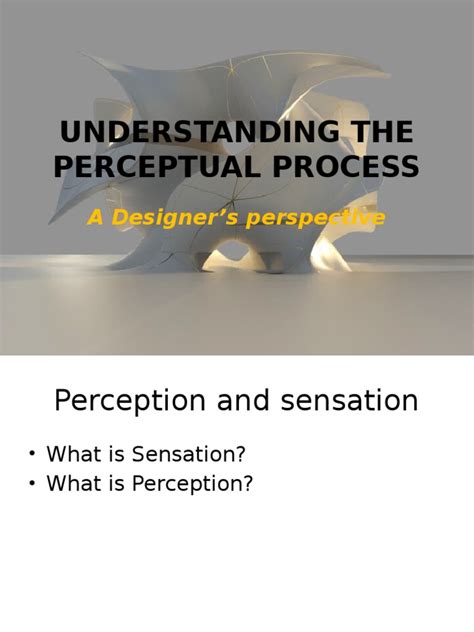 Understanding The Perceptual Process l2 | PDF | Perception | Neuropsychological Assessment