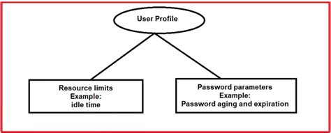 User Profiles In Oracle With Examples Dot Net Tutorials