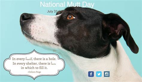 Photos: Happy National Mutt Day! - Orvis News