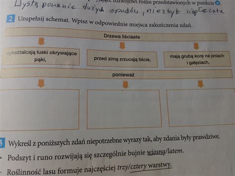 Uzupe Nij Schemat Wpisz W Odpowiednie Miejsca Zako Czenia Zda