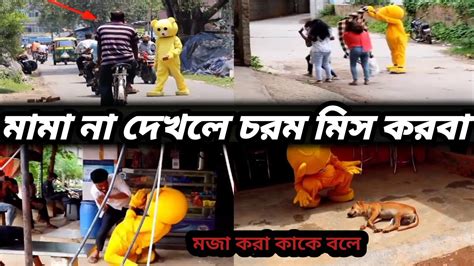 টেডি বিয়ারের ফাজিল কর্মকাণ্ড Teddy Bear Best Prank Video 2021 Crazy