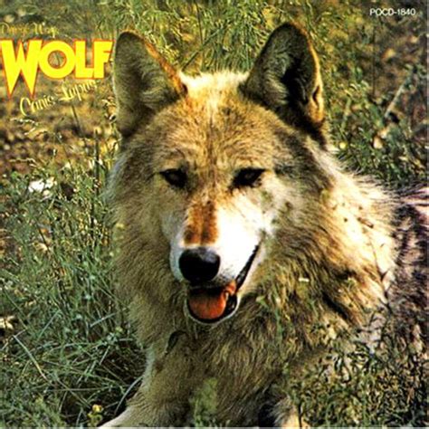 Wolf Discography And Reviews