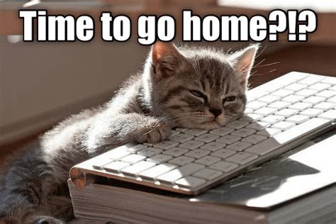 43+ Time To Go Home Meme – Home