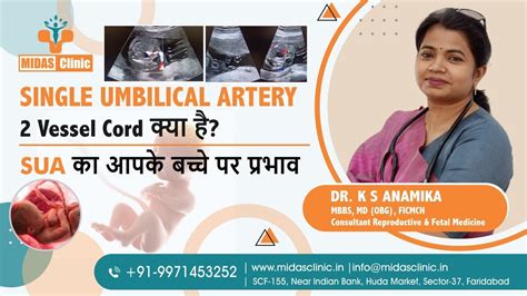 SINGLE UMBILICAL ARTERY 2 Vessel Cord कय ह SUA क आपक बचच पर