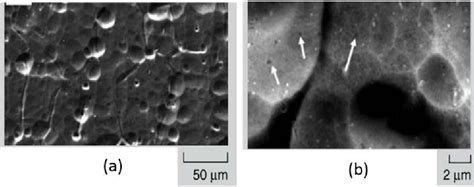 Figure From Thermomechanical Streaking Defects In Architectural