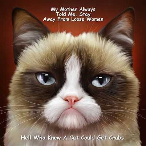 Grumpy Cat Meme S By Gary Graefen 7722 Hot Sex Picture