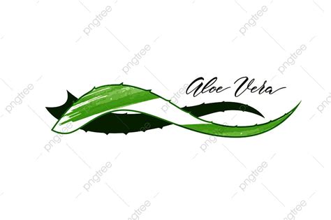 Realistic Aloe Vera Vector Illustration On White Background Background