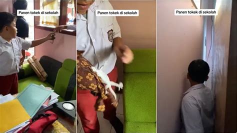 Aksi Berani Bocah Sd Tangkap Tokek Dengan Tangan Kosong Heboh Bantu