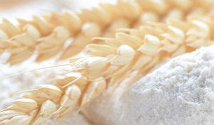 Natural Durum Wheat For Cooking Bakery Products Packaging Type Bag