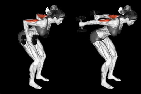 Triceps kickback benefits Archives - Mobility Physiotherapy Clinic