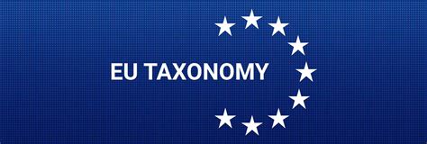 Eu Taxonomy Assessments Blue Auditor