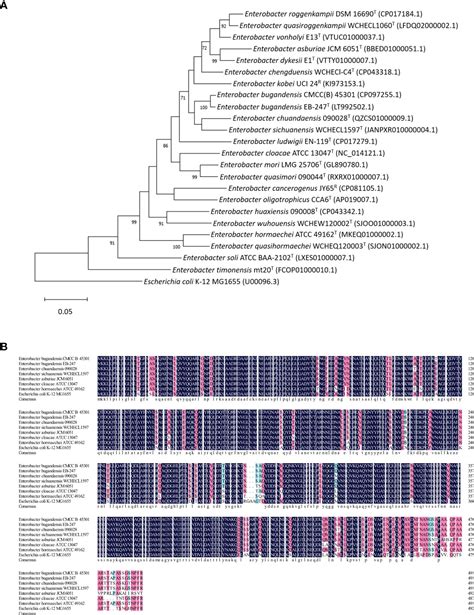 Frontiers A Comprehensive Description Of The TolC Effect On The