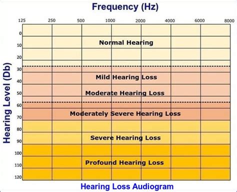 Answers To Faqs What Is Hearing Loss Causes Types Symptoms