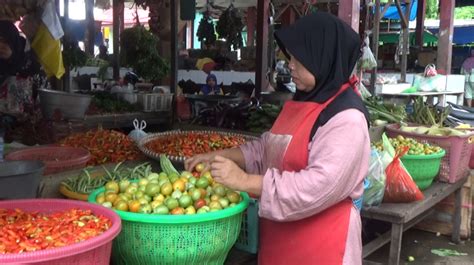 Wow Harga Tomat Di Kuala Pembuang Mencapai Rp Ribu