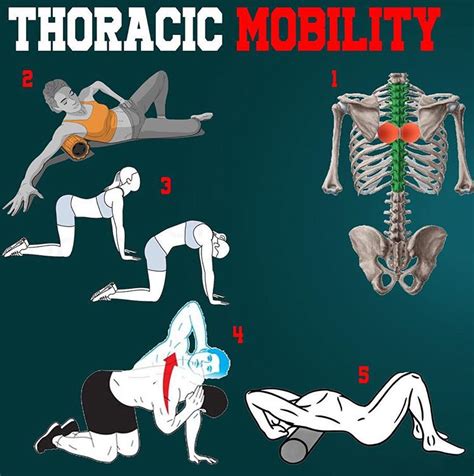 IMPROVE THORACIC MOBILITY