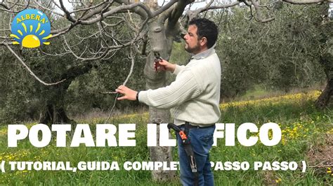 POTARE IL FICO Ficus Carica TUTORIAL COMPLETO E PROVA PRATICA Guida