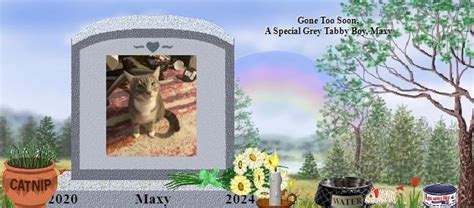 Maxy S Rainbow Bridge Pet Loss Memorial