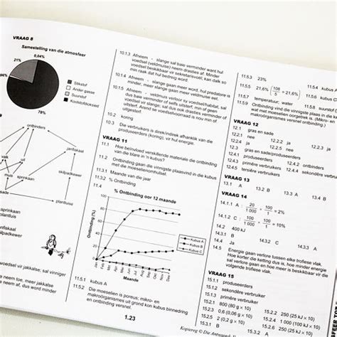 Gr Lewenswetenskappe In Ieb The Answer Series