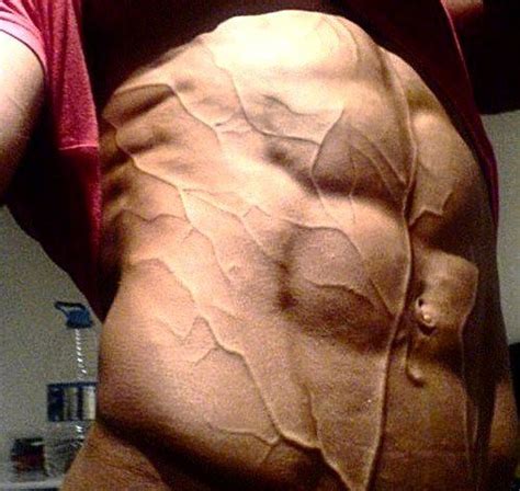 Abs Veins Flickr Photo Sharing