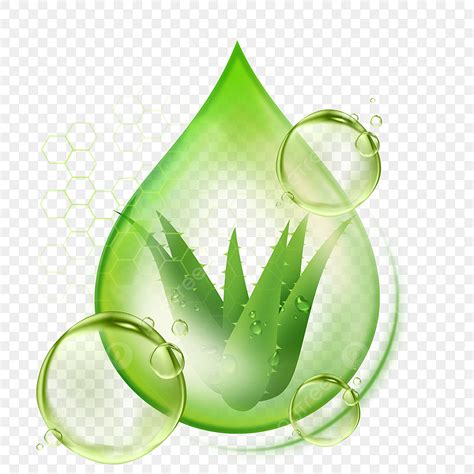 Aloe Vera Gel PNG Picture Healthy Green Drop Shaped Aloe Vera Gel