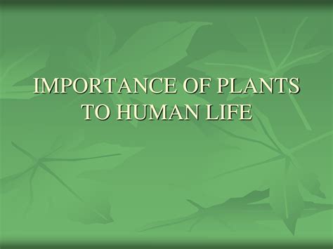 PPT - IMPORTANCE OF PLANTS TO HUMAN LIFE PowerPoint Presentation, free ...