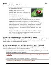 Marie Velazco A Ladybugs And The Environment Pdf Biology