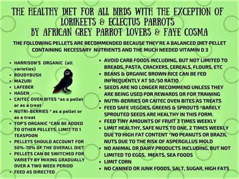 African Grey Diet Sheet