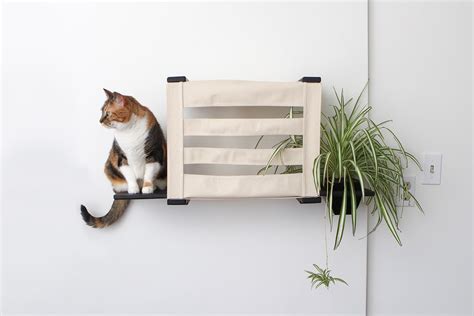 Deluxe Cat Cubby With Elevated Feeder Or Indoor Cat Garden Shelf