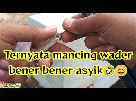 MANCING WADER PANEN STRIKE TERNYATA BENER BENER MENGASYIKKAN Joran