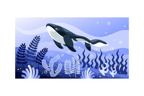 Whale Vector Illustration