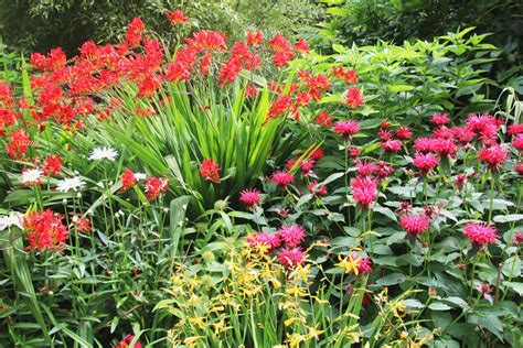 Abbotsbury Subtropical Gardens - April Everyday