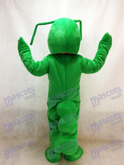 Grasshopper Mascot Costume Insect