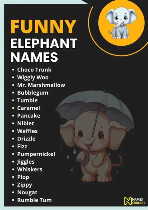 Funny Elephant Names: A Trunkload of Laughter - Names Crunch