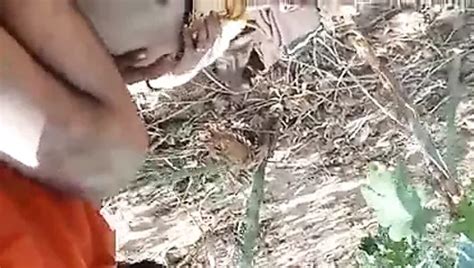 Rajasthani Bhabhi Shaving Pussy Free HD Porn A XHamster