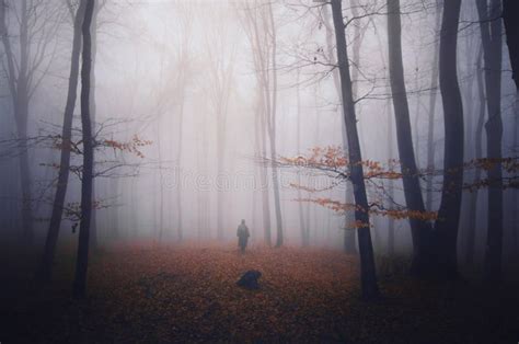 Ghost In A Dark Spooky Forest On Halloween Stock Photo Image Of