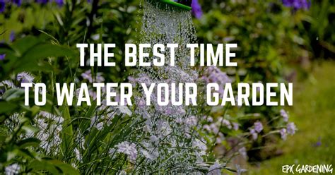 When Is The Best Time To Water Your Garden Epic Gardening