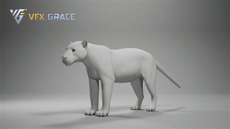 Panthera onca - UE Character Asset | VFX Grace