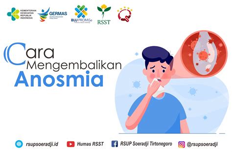 Cara Mengembalikan Anosmia RSUP Dr SOERADJI TIRTONEGORO