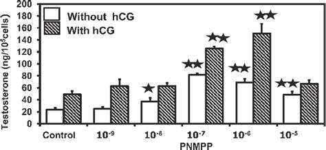 Testosterone Production By Leydig Cells Incubated With Pnmpp 10 5 10