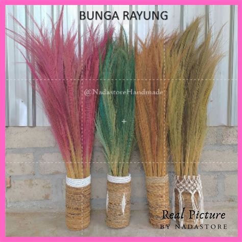 Jual Dried Flower Long Grass Bunga Kering Pampas Merak Bunga