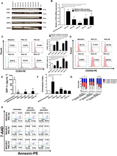 Analysis Of Ccr1 Ccr3 Ccr5 And Gpr75 Expression On Sensitive And