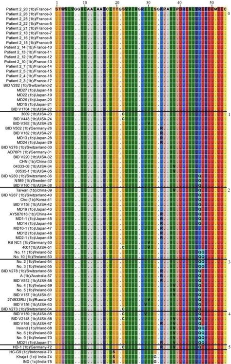 Multiple Sequence Alignment Of NS4A Protein Of HCV Genotype 1b And 1c