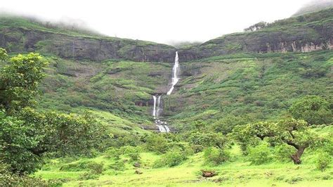 Harishchandragad Flowers Trek 2024