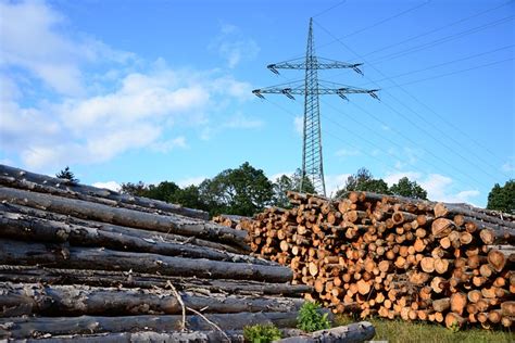 Madeira É Condutor De Energia - Madeira Eletricidade Energia - Foto gratuita no Pixabay