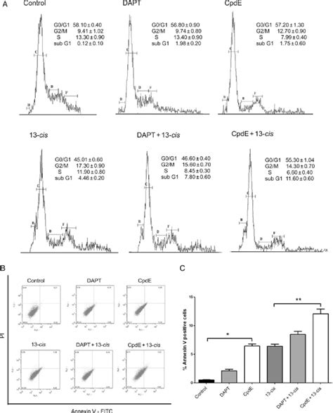 Cell Cycle And Apoptosis Analysis Of Neuroblastoma Cells After Gsis And