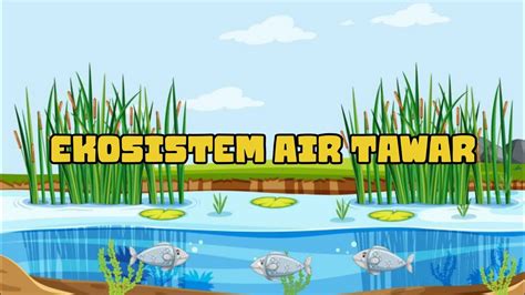 Penjelasan Lengkap Tentang Ekosistem Air Tawar Youtube