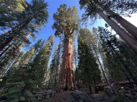 10 Best Hikes and Trails in Sequoia National Park | AllTrails