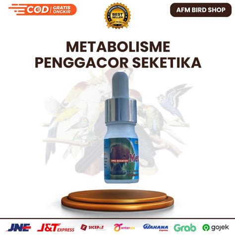 Metabolisme Pro Booster Penggacor Seketika Original Suplemen Dan