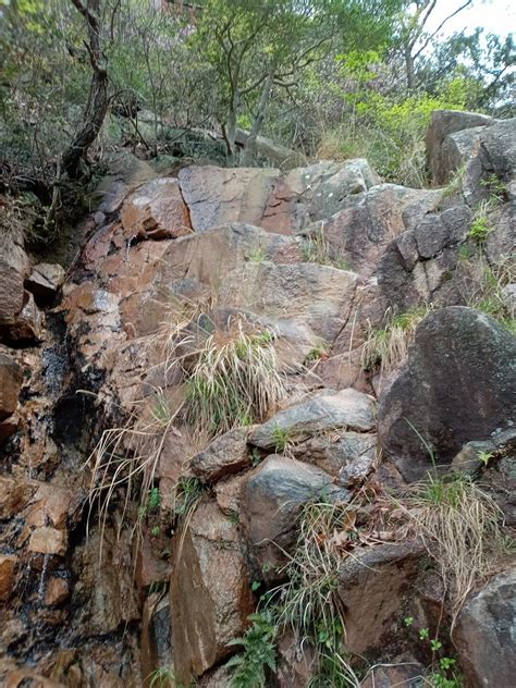 雨上がりの菊水ルンゼ、妙号岩、君影ロック！😉👍 六甲山・長峰山・摩耶山の写真22枚目 水の流れが無くなってきた！ Yamap ヤマップ