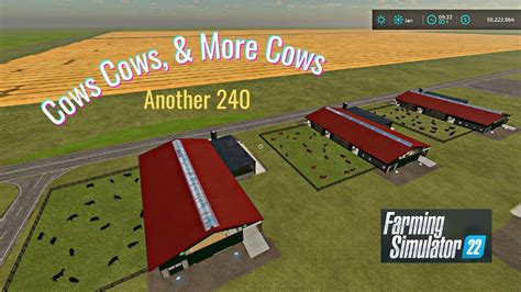 Fs22 Big Fields Xxl Gameplay Buying 240 More Cows And Feeding Youtube